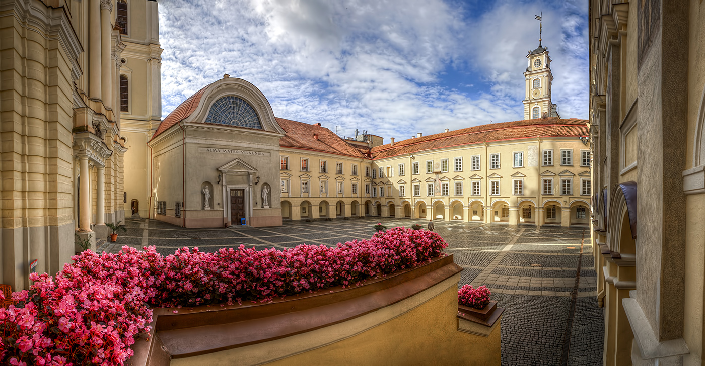 Lithuania university image